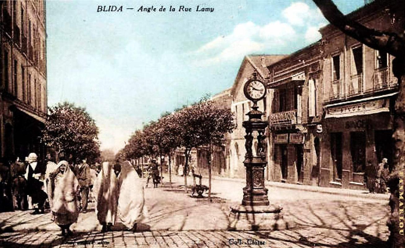 Blida - Rue Lamy- Angle.jpg